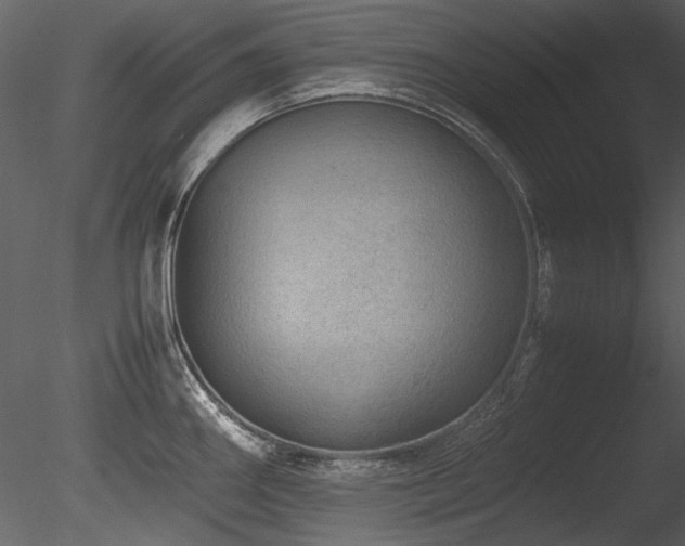 X0000085811290200703161145