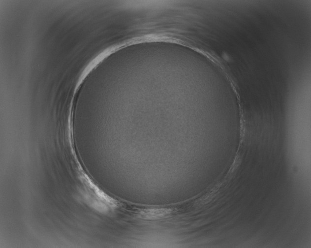 X0000085811294200703161145