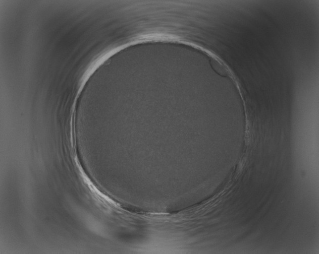 X0000085811295200703161145