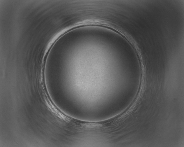 X0000085811296200703161145