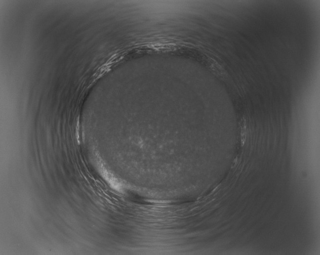 X0000085811298200703161144