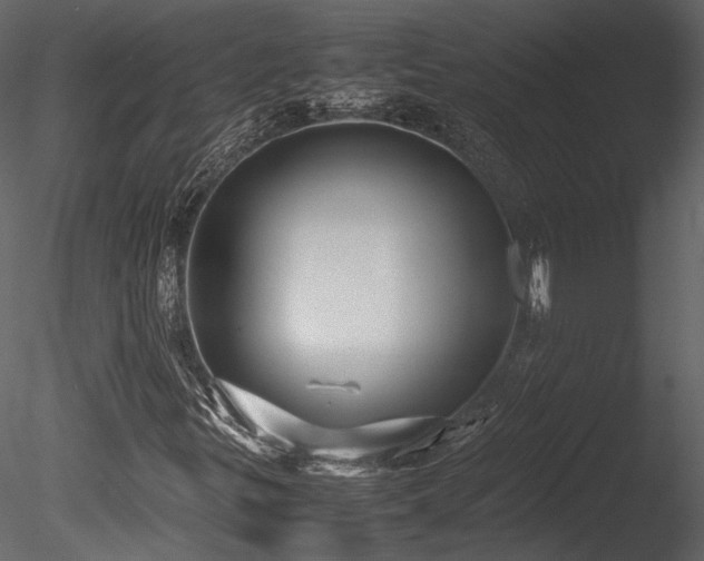 X0000085811299200703161144