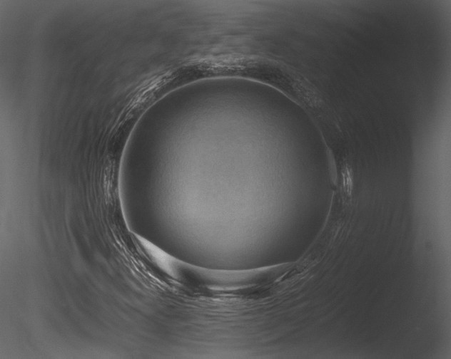 X0000085811300200703161144