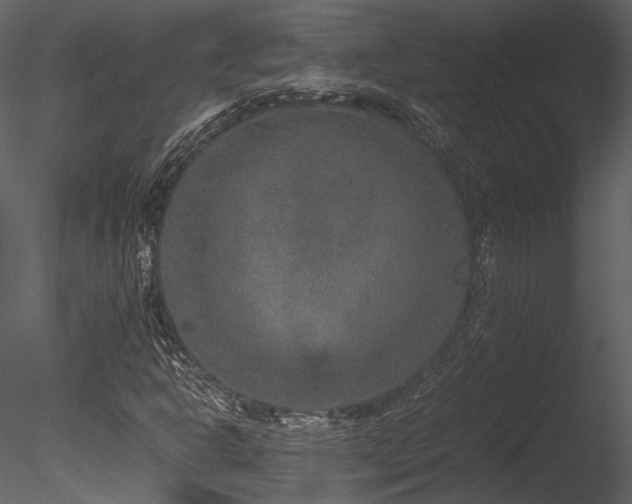 X0000085811302200703161144