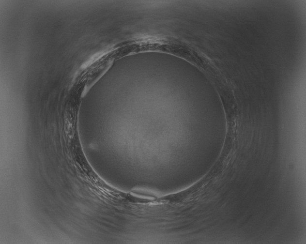 X0000085811303200703161144