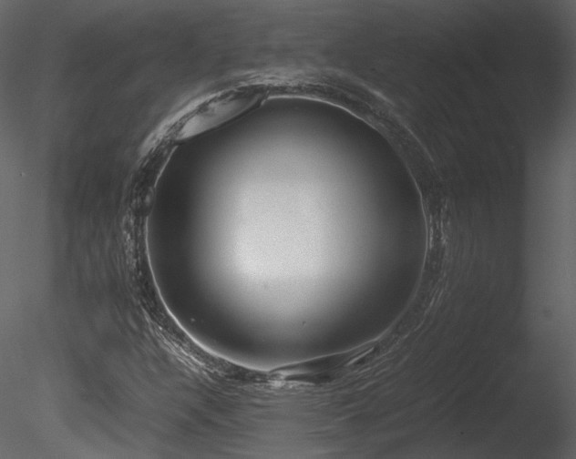 X0000085811304200703161144