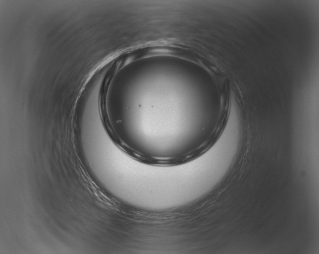 X0000085811308200703161144