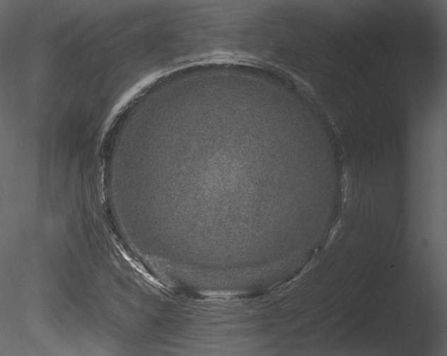 X0000085811310200703161145