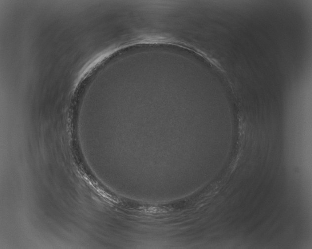 X0000085811311200703161145