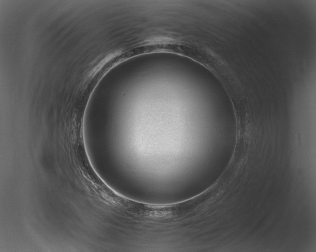 X0000085811313200703161145