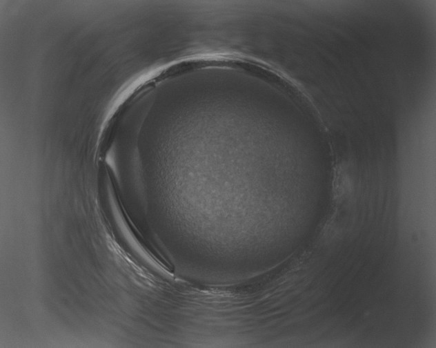 X0000085811319200703161145