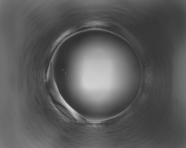 X0000085811321200703161145