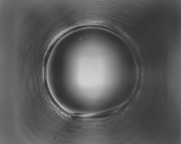 X0000085811324200703161145