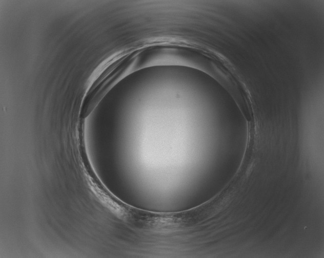 X0000085811330200703161145