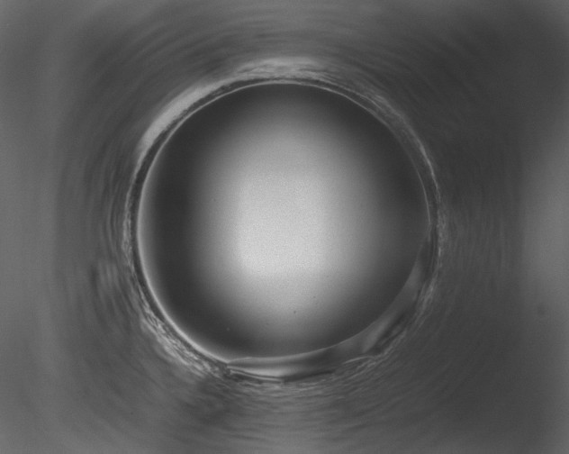X0000085811336200703161145