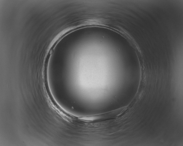 X0000085811339200703161145