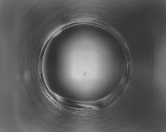 X0000085811340200703161145