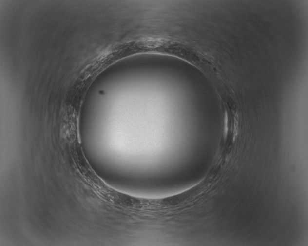 X0000085811349200703161144