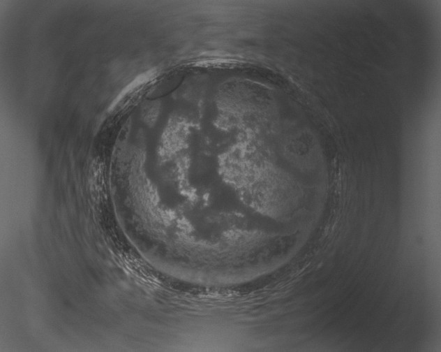 X0000085811351200703161144