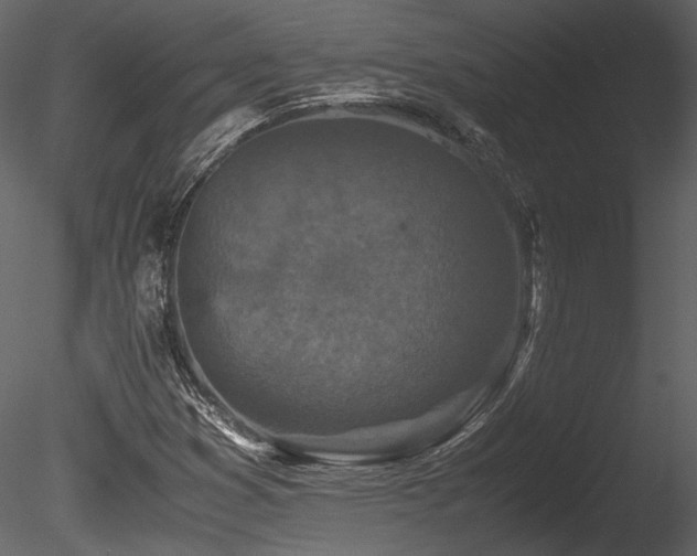 X0000085811353200703161144