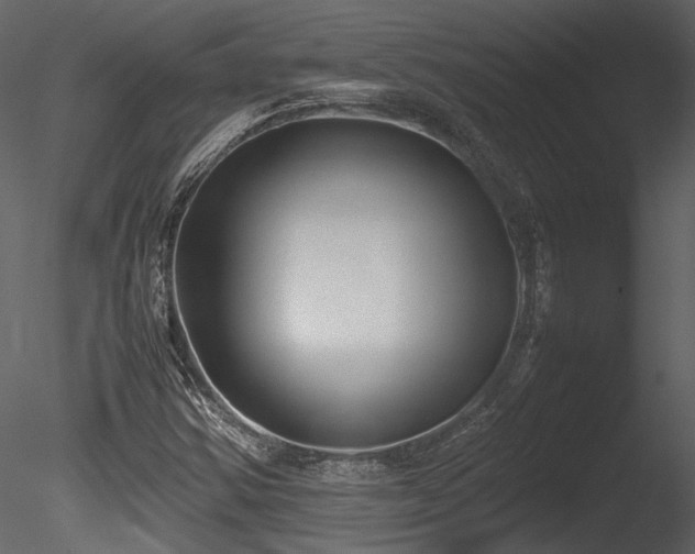 X0000085811354200703161144