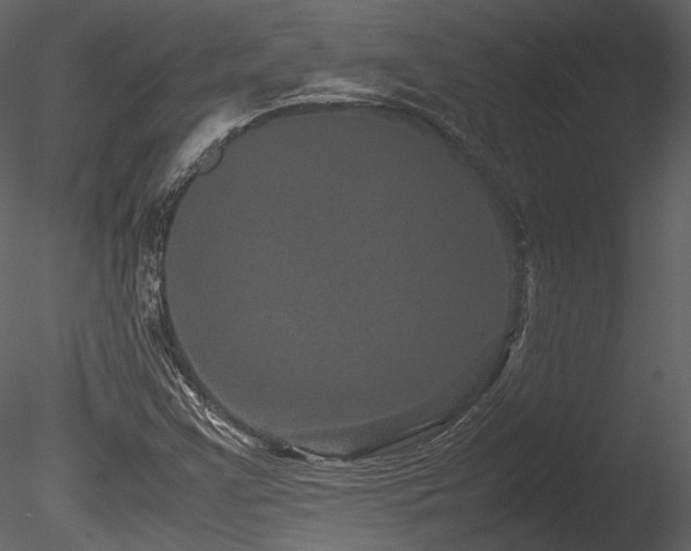 X0000085811355200703161144