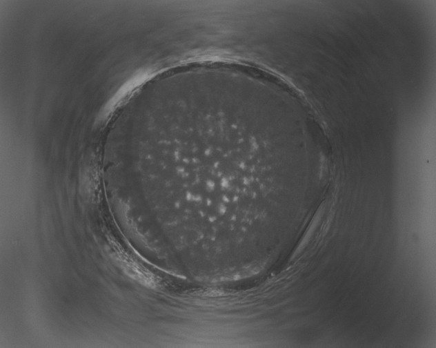X0000085811359200703161144