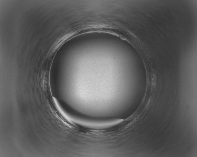 X0000085811361200703161144