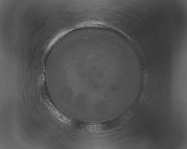 X0000085811363200703161144