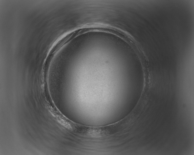 X0000085811364200703161144