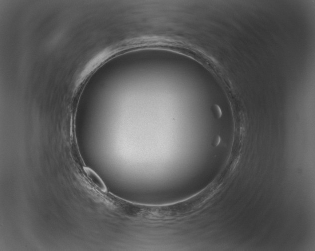 X0000085811365200703161144