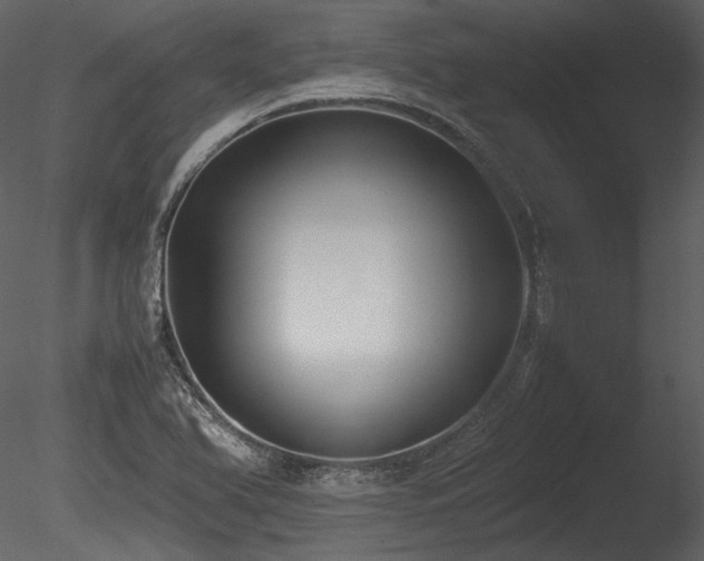 X0000085811366200703161144
