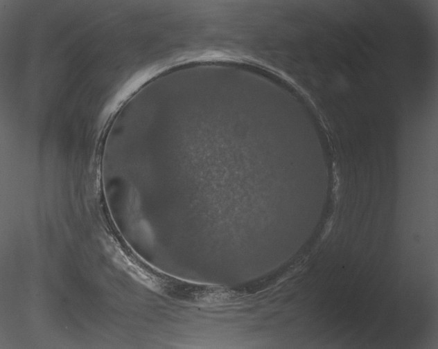 X0000085811367200703161144