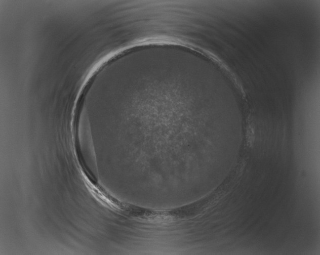 X0000085811372200703161144