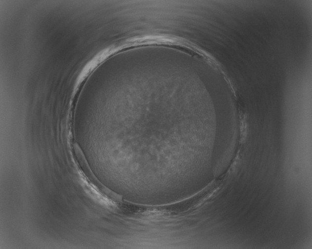 X0000085811373200703161144