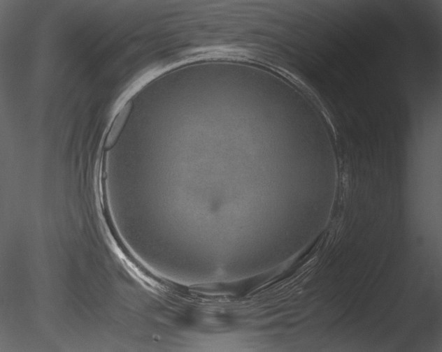 X0000085811391200703161143