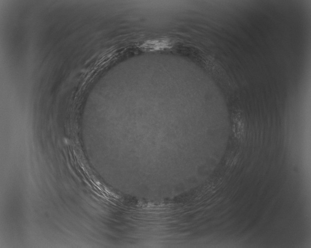 X0000085811393200703161143