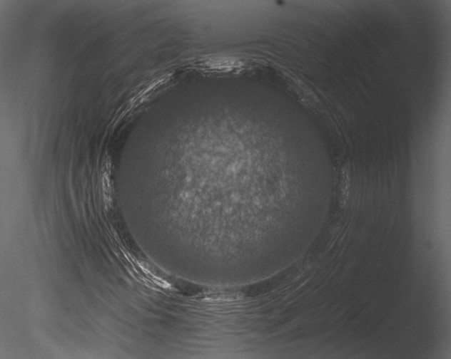 X0000085811394200703161143