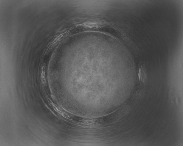 X0000085811396200703161143