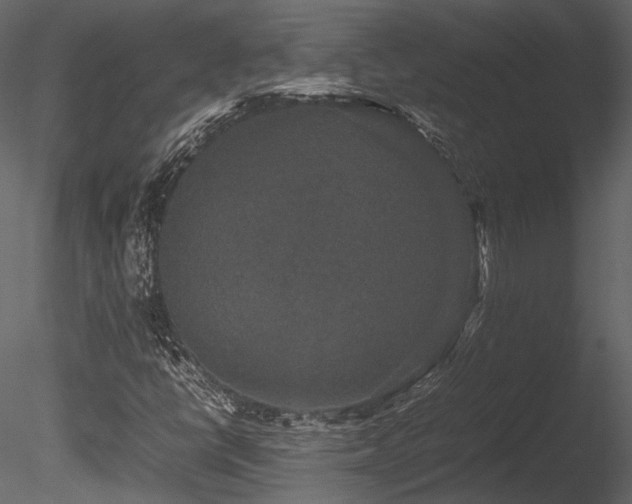 X0000085811398200703161143