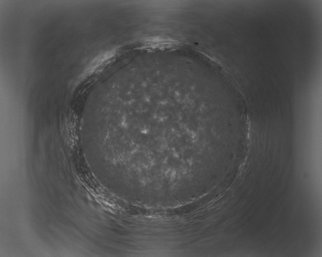 X0000085811399200703161143