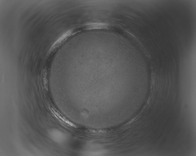X0000085811403200703161143