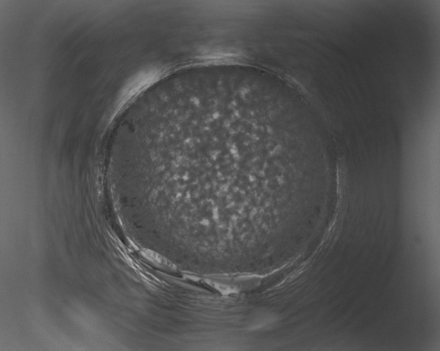 X0000085811405200703161143