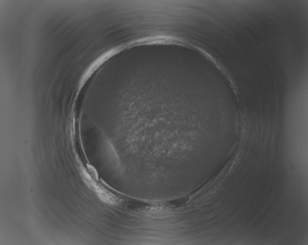 X0000085811418200703161143