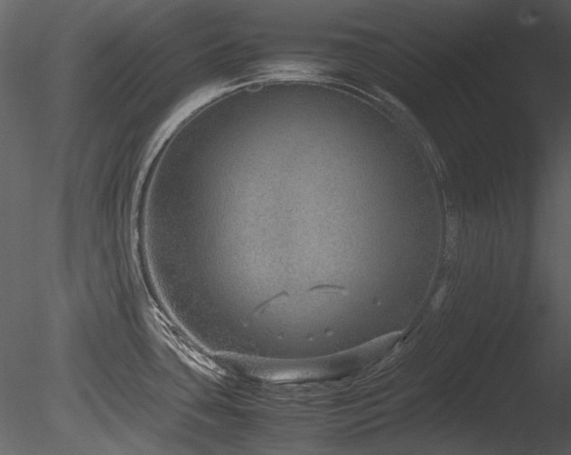 X0000085811435200703161143