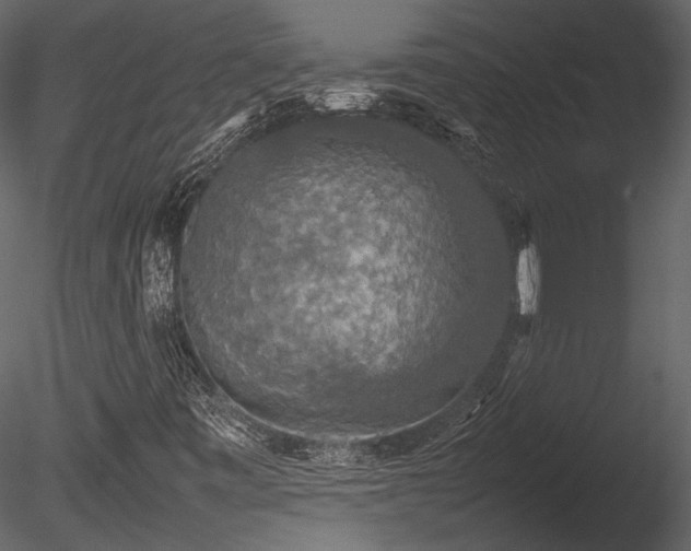 X0000085811443200703161143