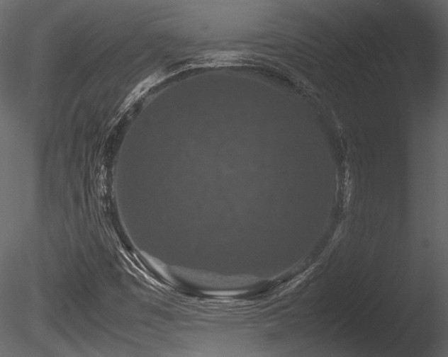 X0000085811449200703161142