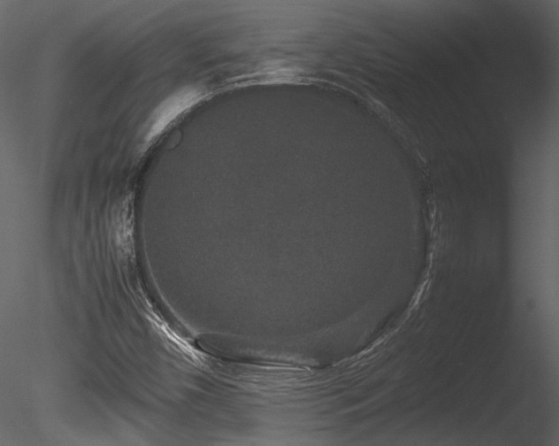X0000085811450200703161142