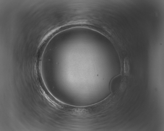 X0000085811452200703161142