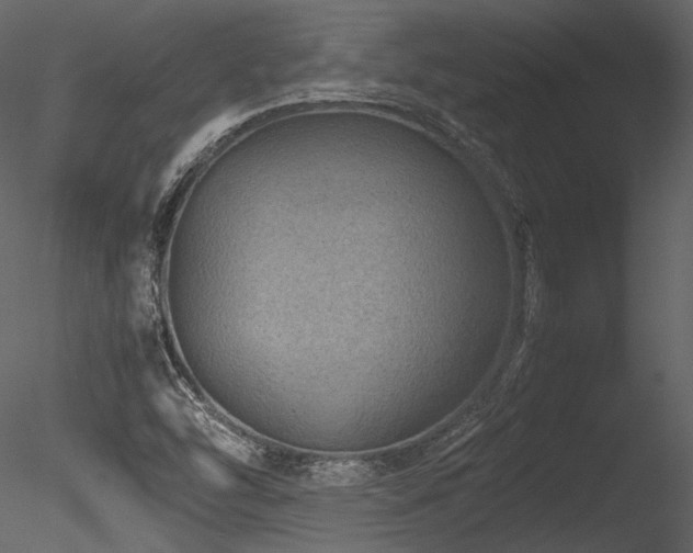 X0000085811454200703161142